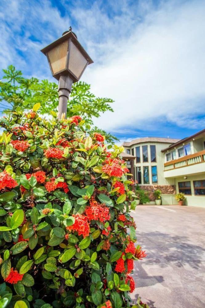 House Of Fountains Bed & Breakfast ลาไฮนา ภายนอก รูปภาพ